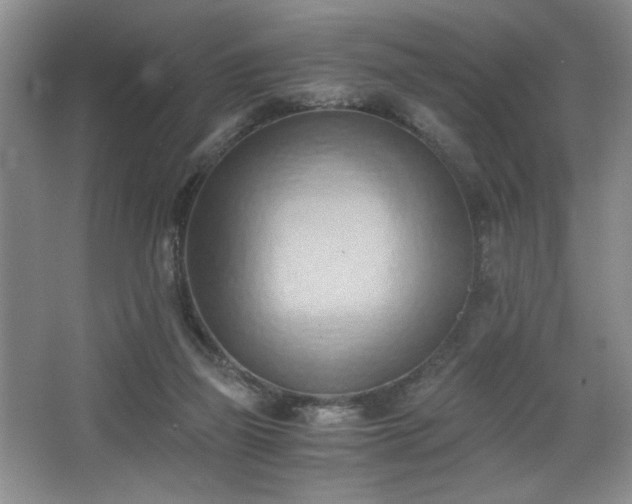 X0000068750165200604281215