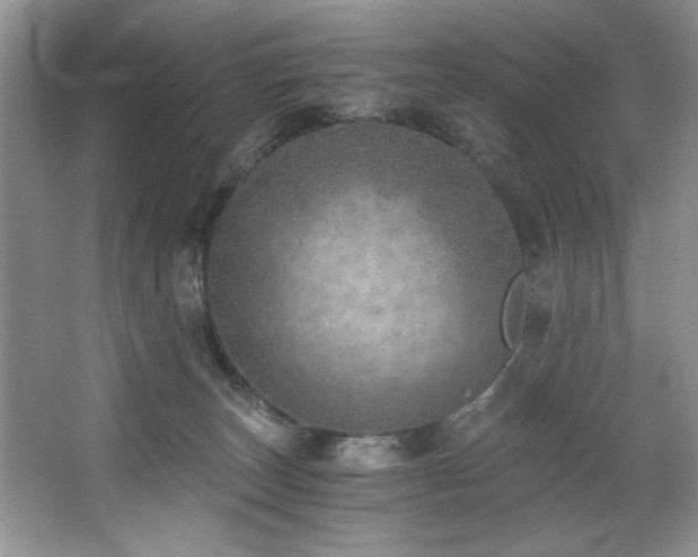 X0000068750179200604281215