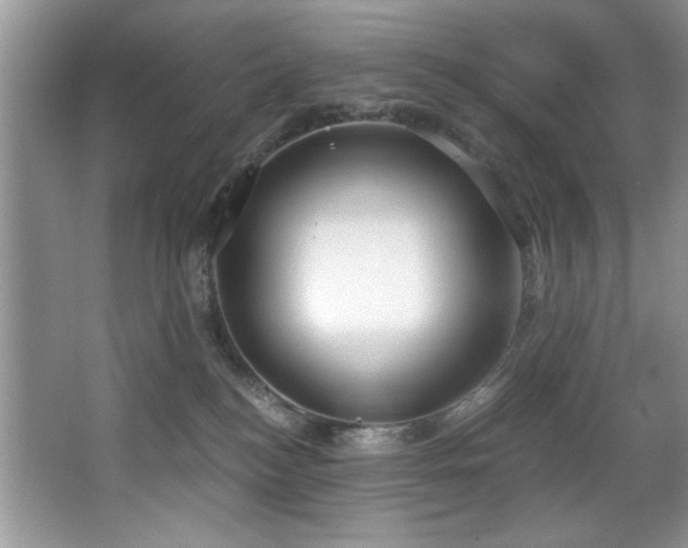 X0000068750184200604281215