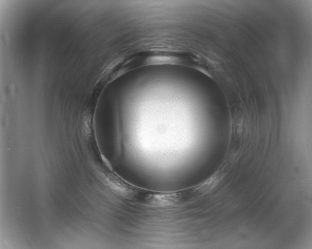 X0000068750188200604281215