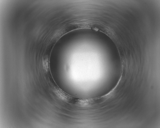 X0000068750190200604281215
