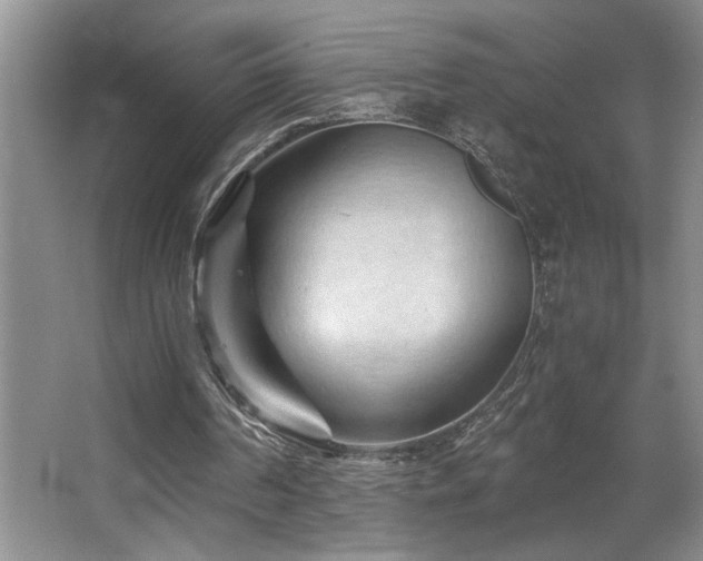 X0000068750194200604281214
