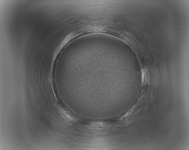 X0000068750195200604281214