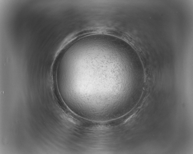 X0000068750198200604281214