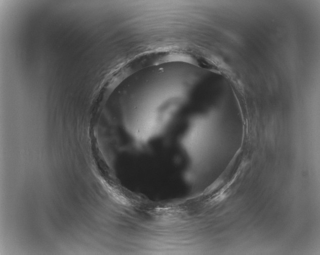 X0000068750201200604281214