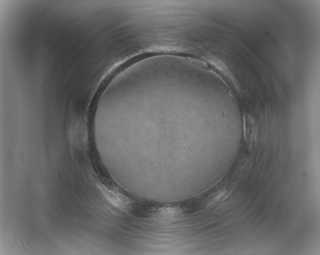 X0000068750204200604281214