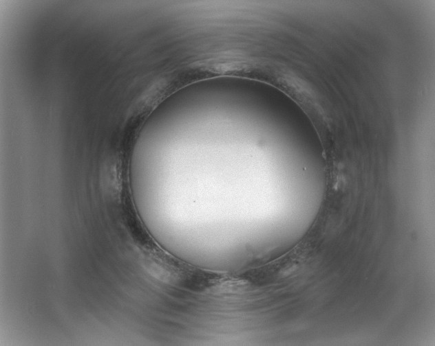 X0000068750210200604281214