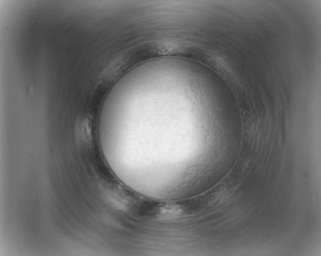 X0000068750214200604281214
