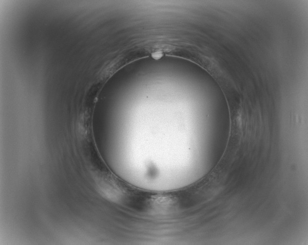 X0000068750218200604281214