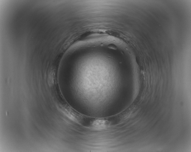 X0000068750227200604281214