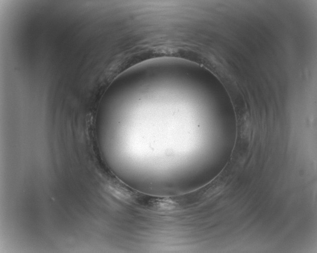 X0000068750229200604281214
