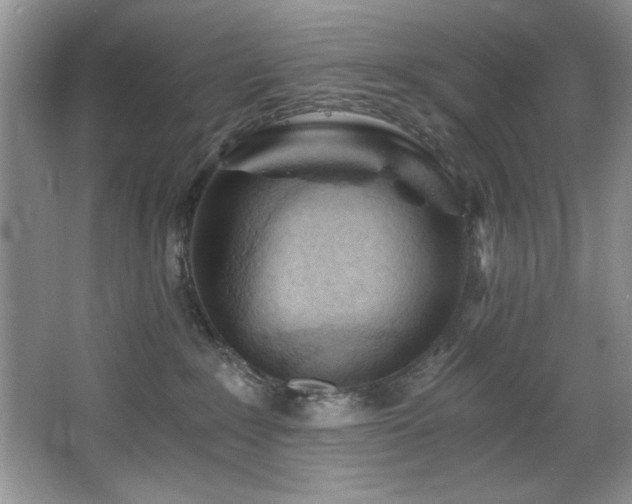 X0000068750235200604281214