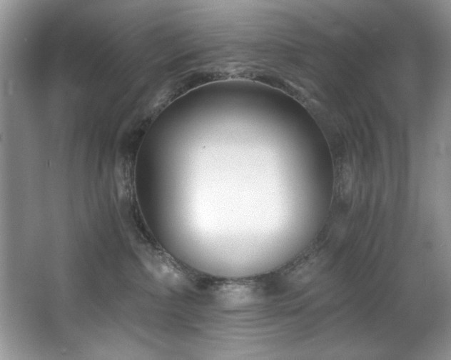 X0000068750236200604281214