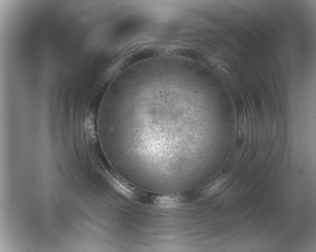 X0000068750238200604281213