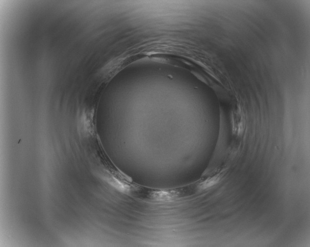 X0000068750239200604281213