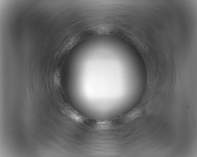 X0000068750240200604281213