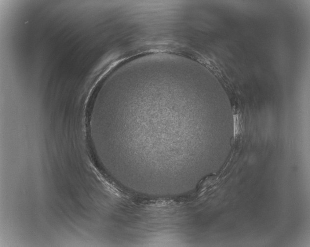 X0000068750243200604281213