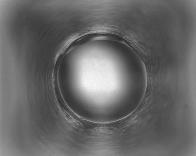 X0000068750244200604281213