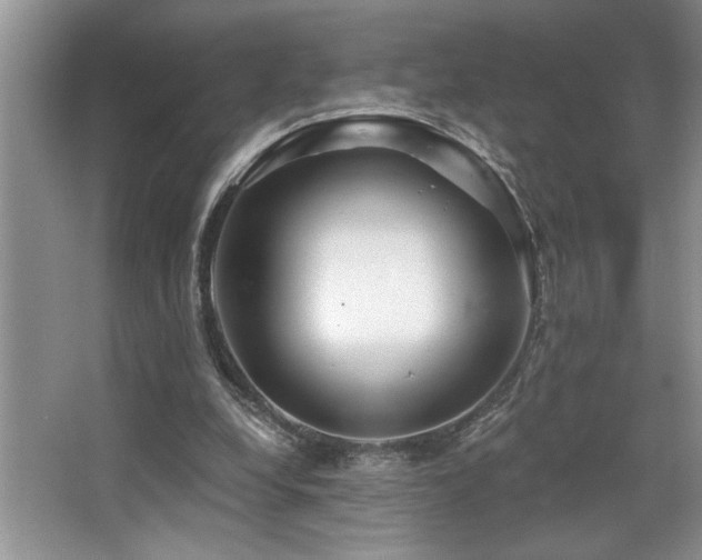 X0000068750248200604281213