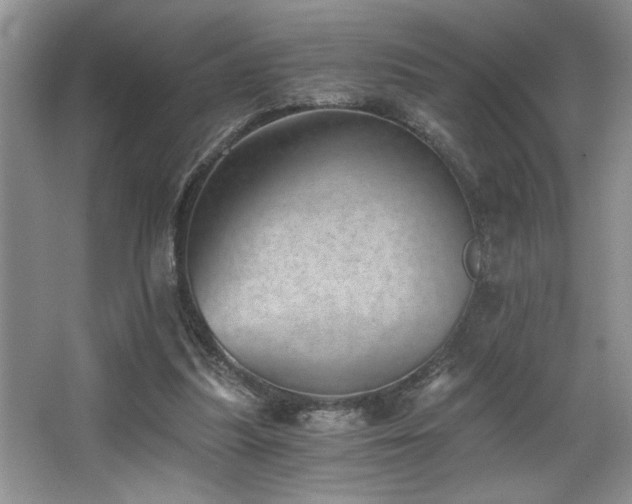 X0000068750251200604281213