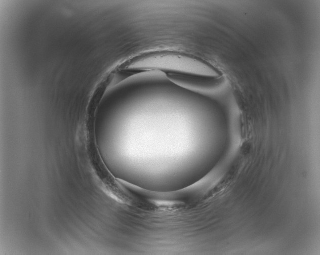 X0000068750252200604281213