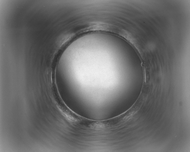 X0000068750253200604281213