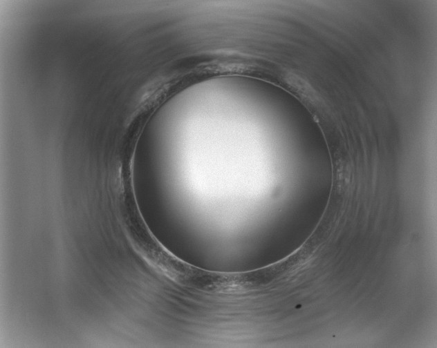 X0000068750254200604281213