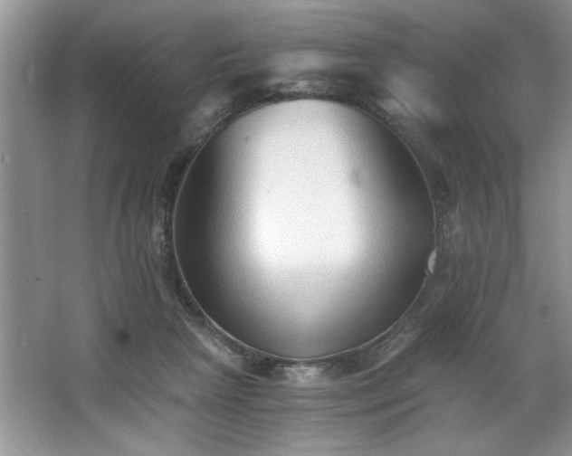 X0000068750265200604281213