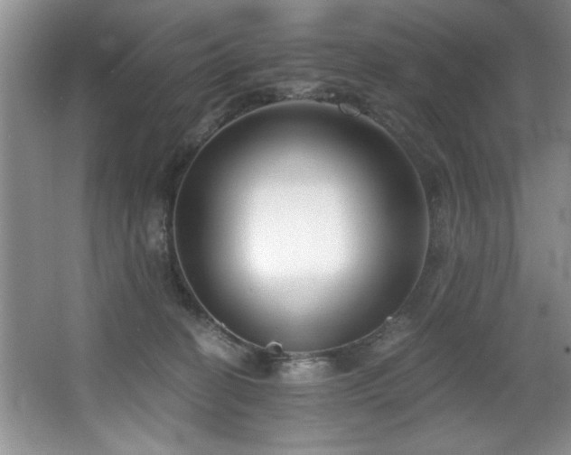 X0000068750274200604281213