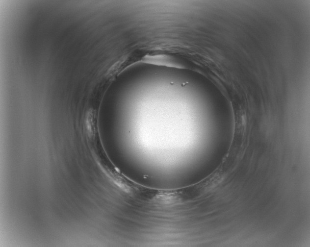 X0000068750280200604281213