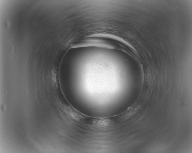 X0000068750282200604281213