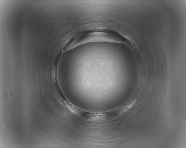 X0000068750288200604281213