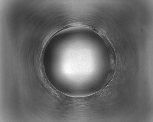 X0000068750289200604281213