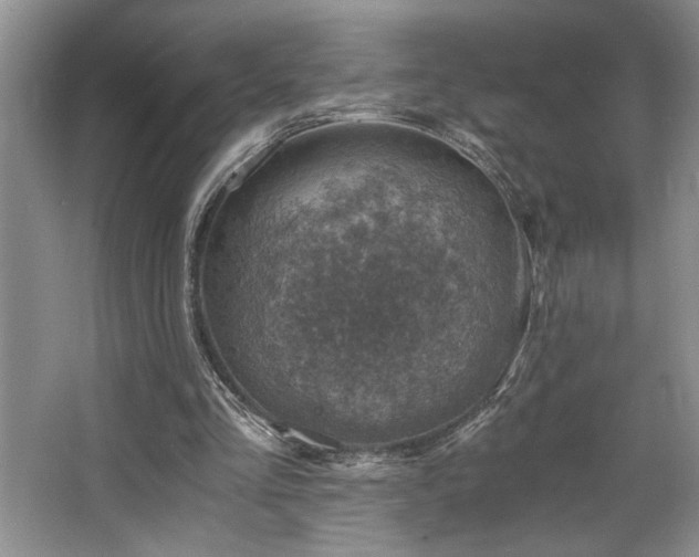 X0000068750293200604281213