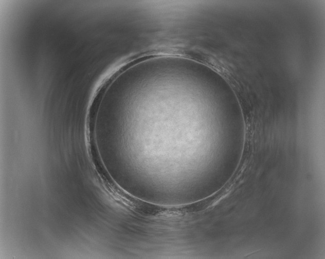 X0000068750294200604281213
