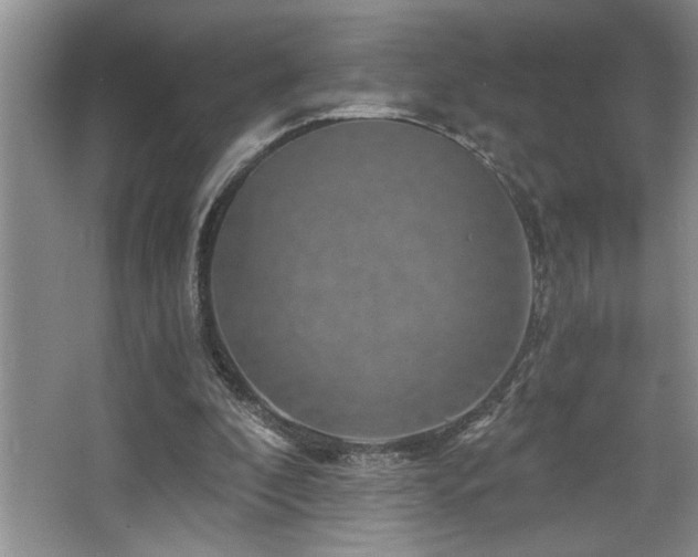 X0000068750296200604281213