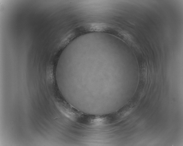 X0000068750312200604281212