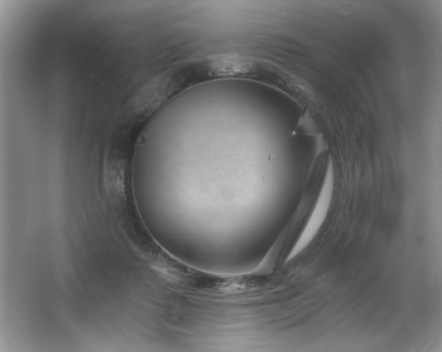 X0000068750315200604281212