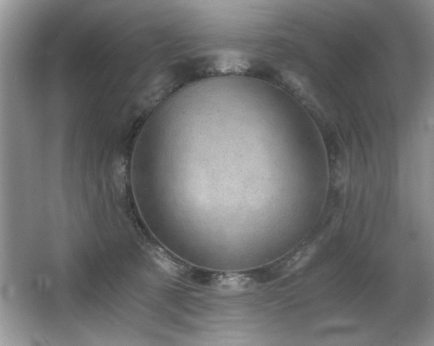 X0000068750321200604281212