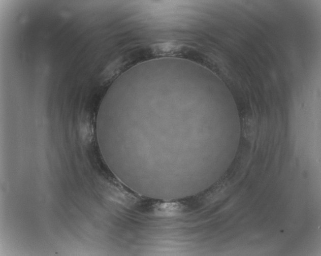 X0000068750324200604281212