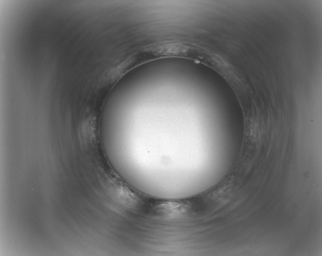 X0000068750326200604281212