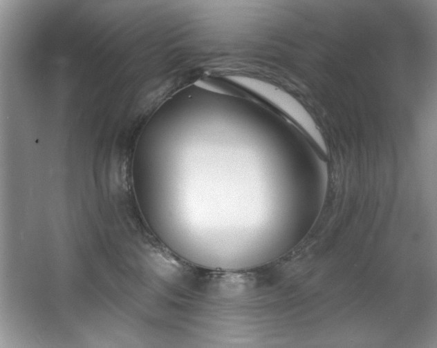 X0000068750330200604281212