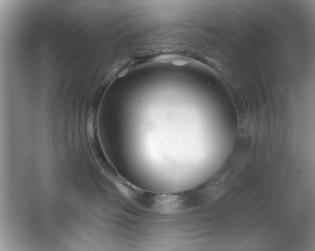 X0000068750334200604281212