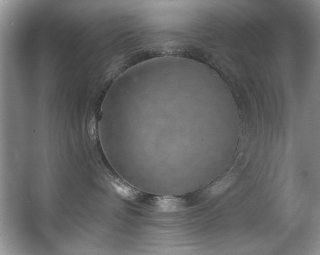 X0000068750336200604281212