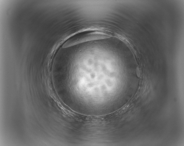 X0000068750337200604281211