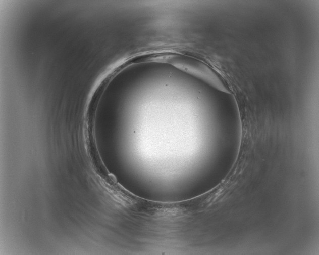 X0000068750342200604281211