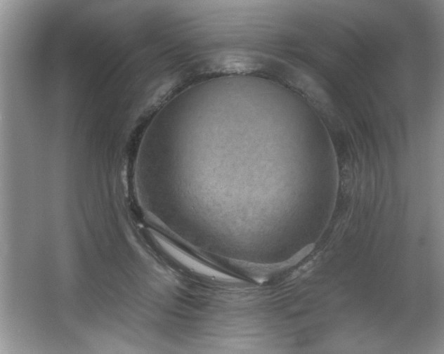 X0000068750358200604281211