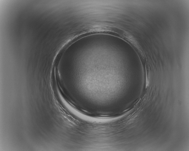 X0000068750387200604281211