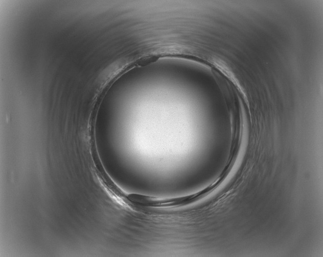 X0000068750389200604281211