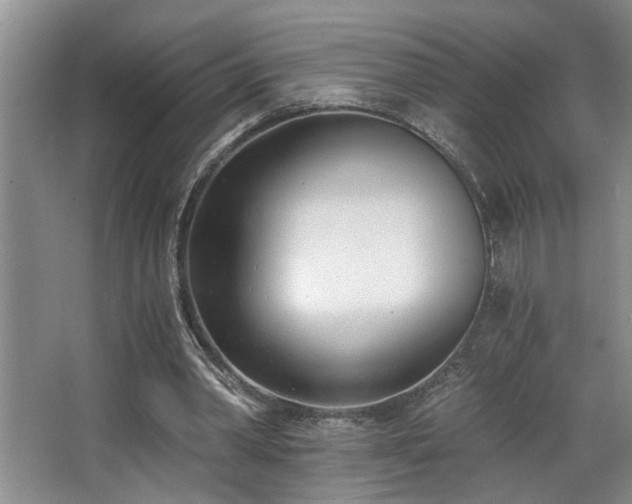 X0000068750390200604281211